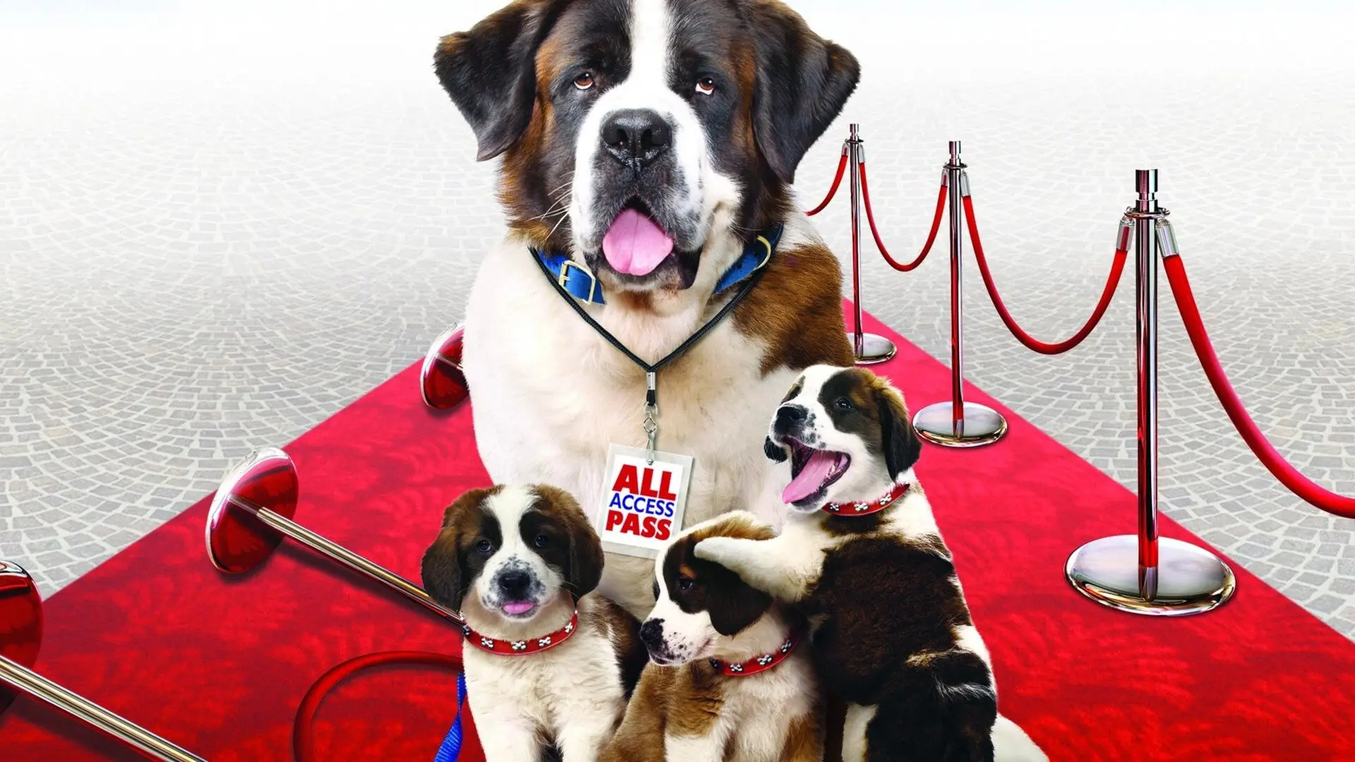 Beethoven's Big Break backdrop