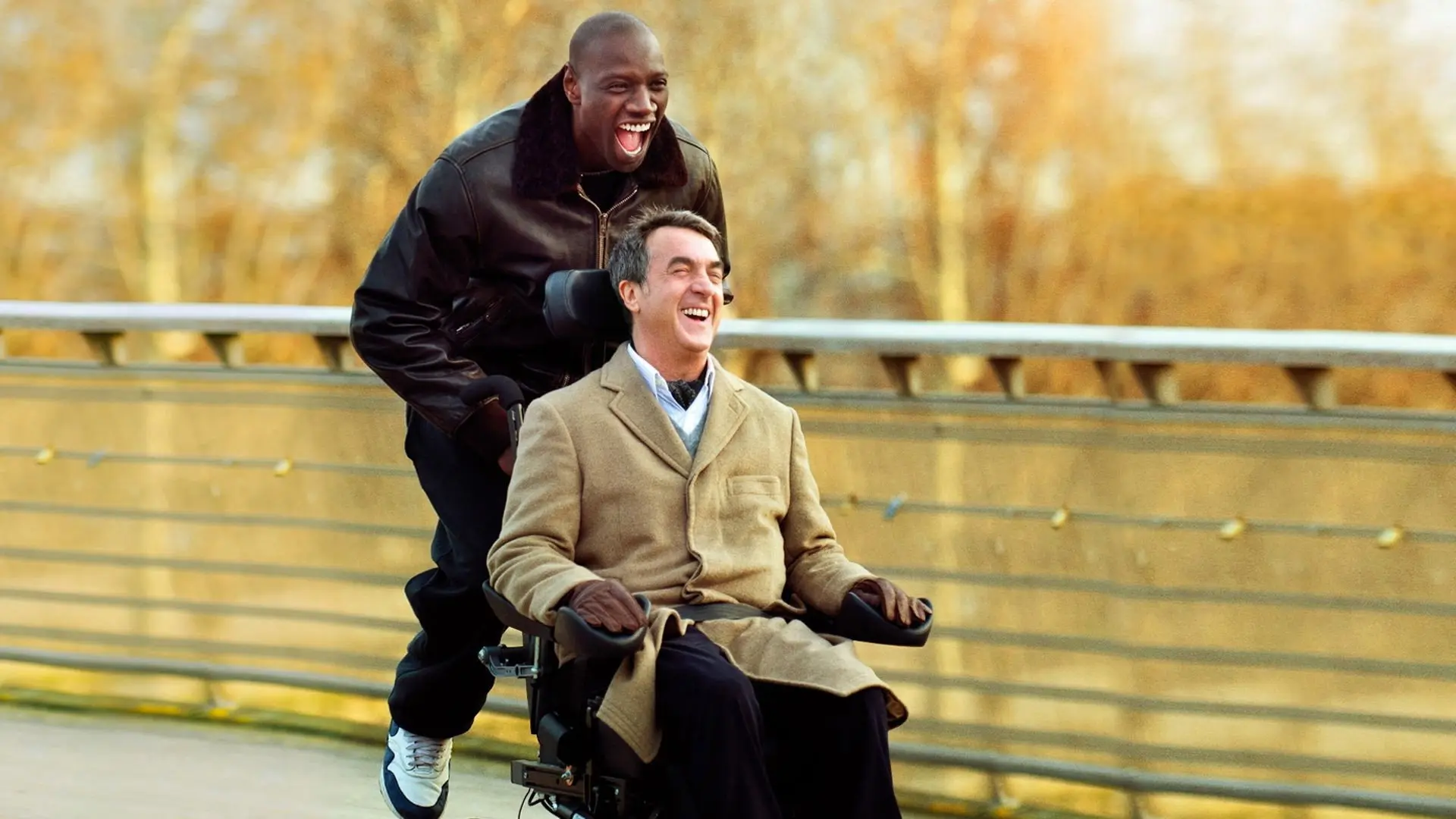 The Intouchables backdrop