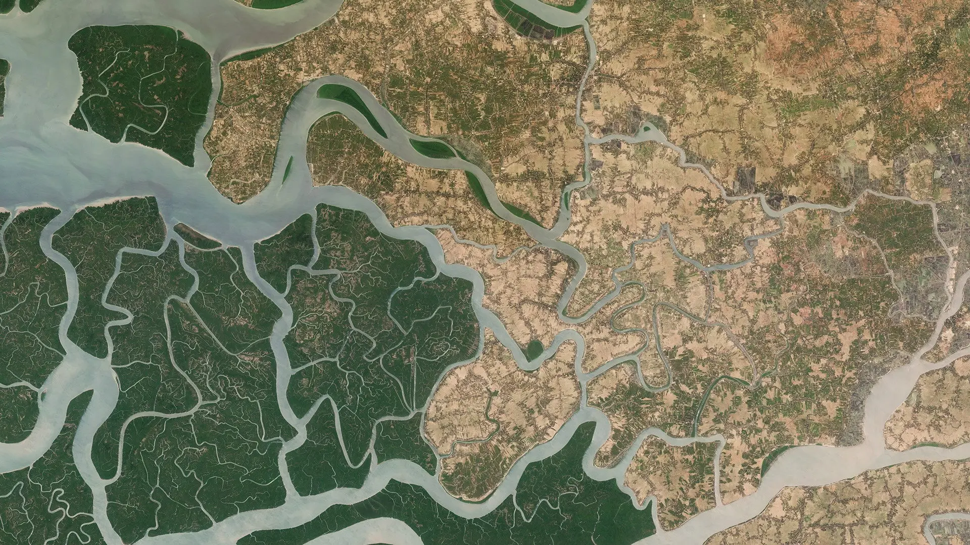 2024: The Year From Space backdrop