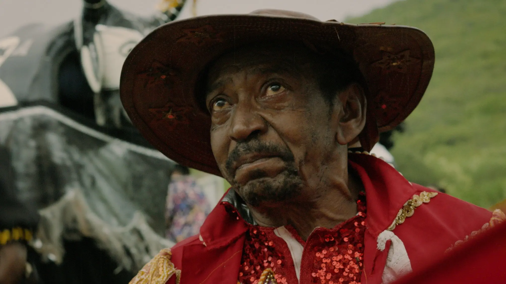 O Carnaval é de Pelé backdrop