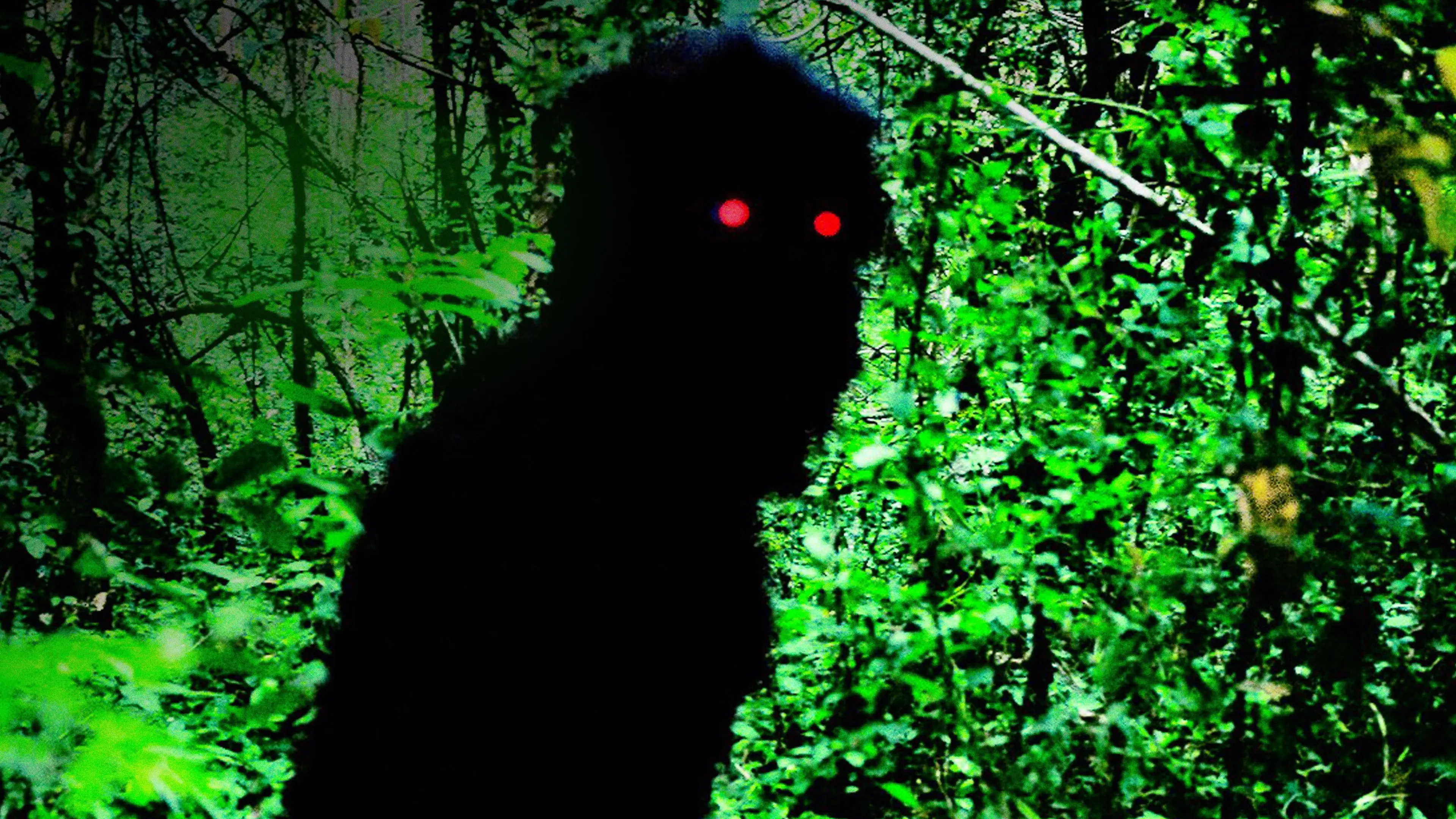 Uncle Boonmee Who Can Recall His Past Lives backdrop