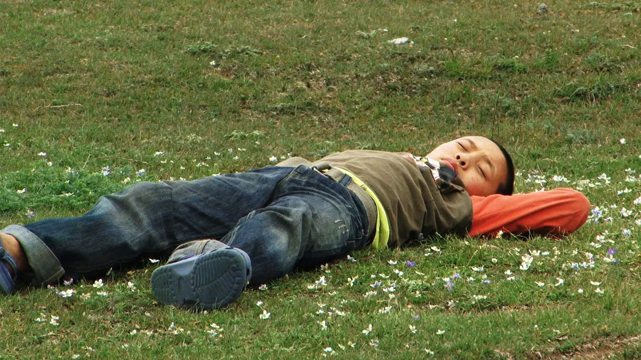 OLO, the Boy from Tibet backdrop