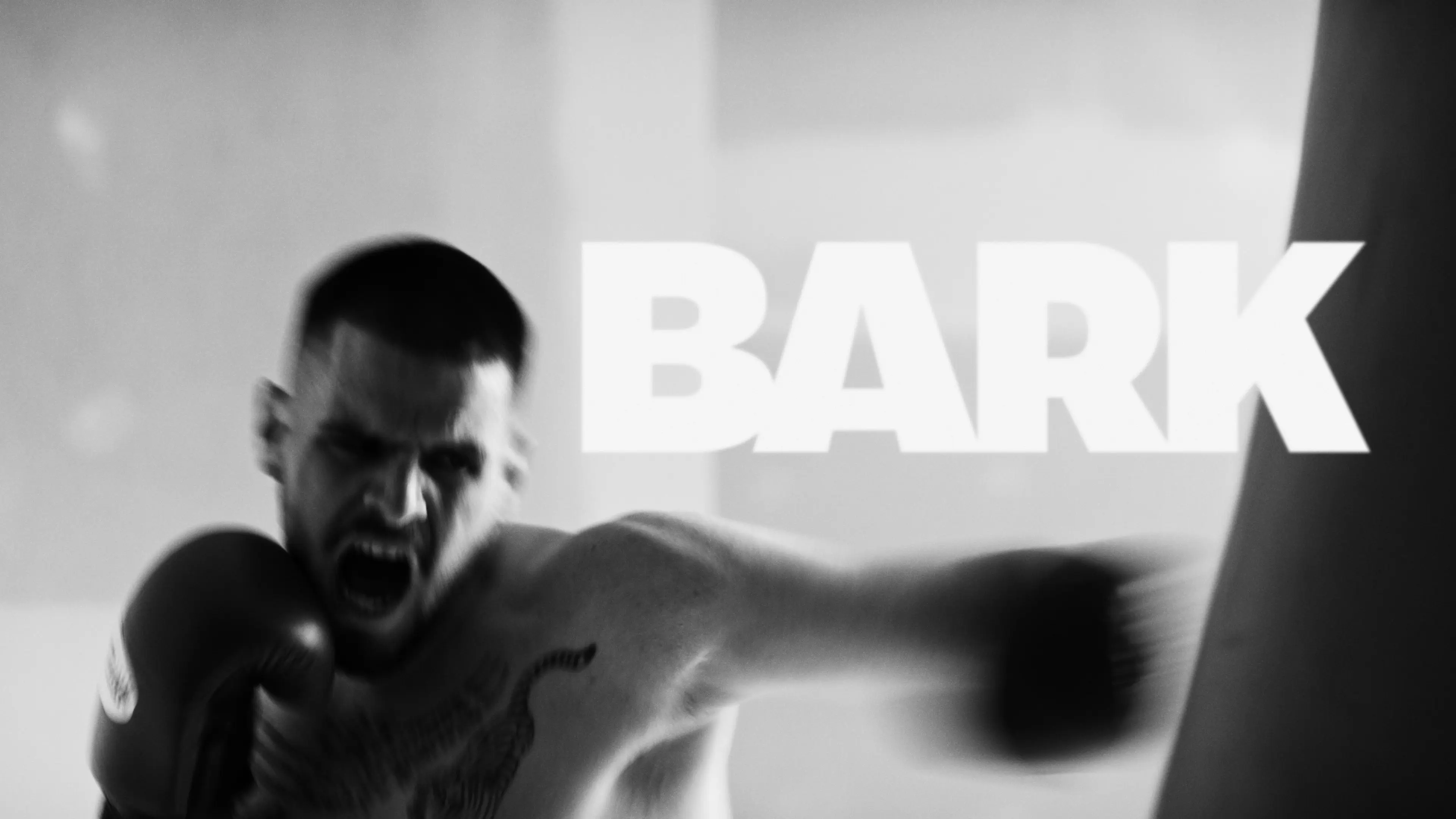 "Bark" backdrop