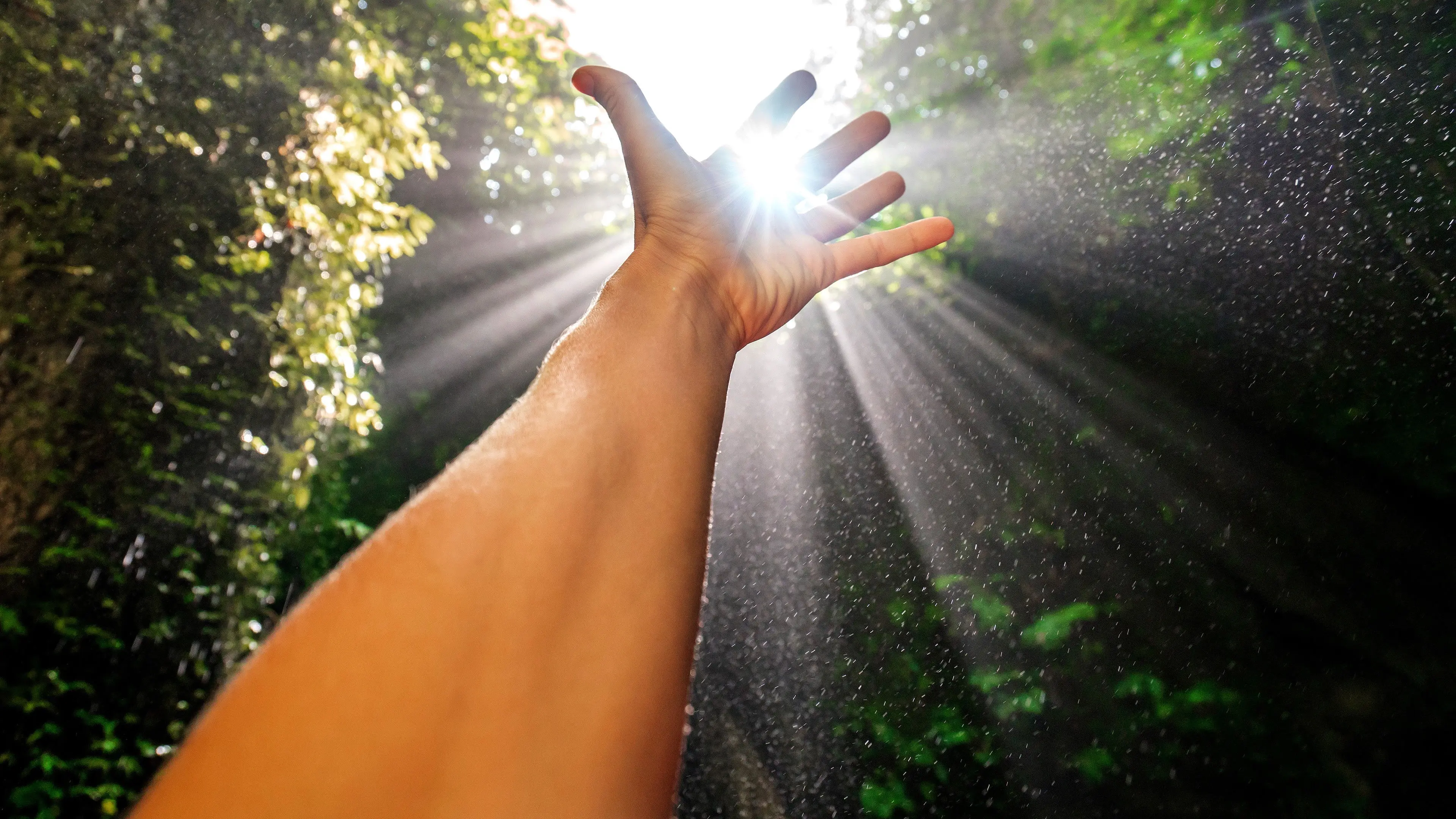 American Tarzan backdrop