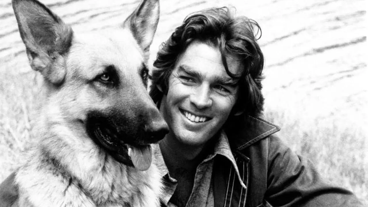 Run, Joe, Run backdrop