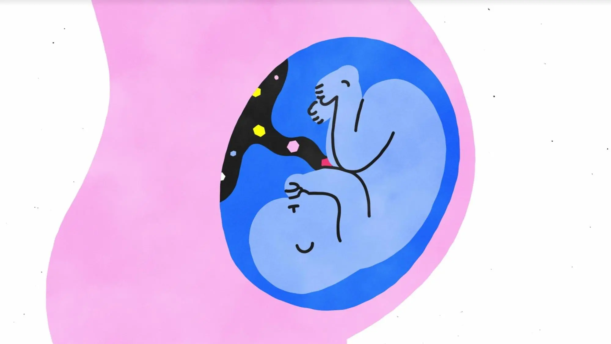 Sex, Explained backdrop