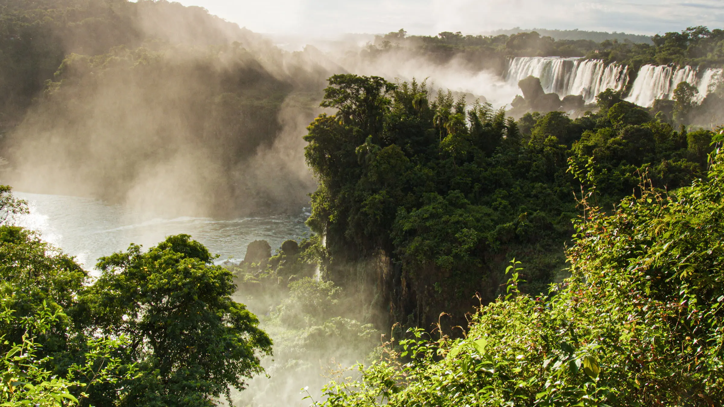 Wild Argentina backdrop