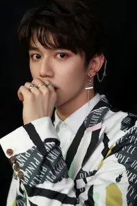 Lai Zongying