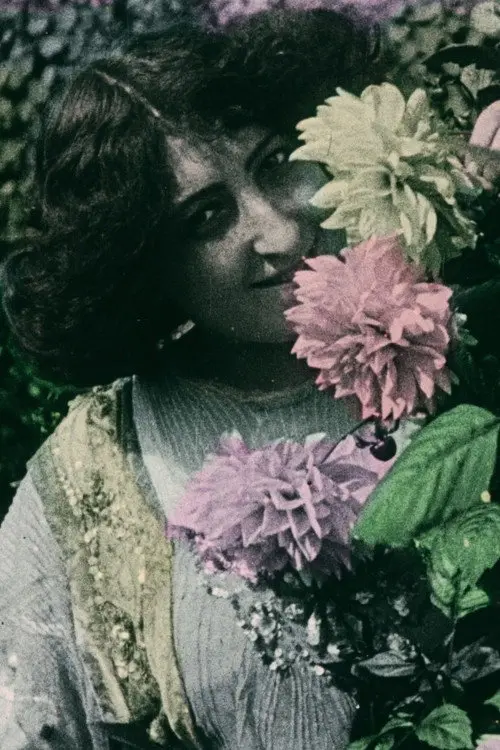 Culture of the Dahlia