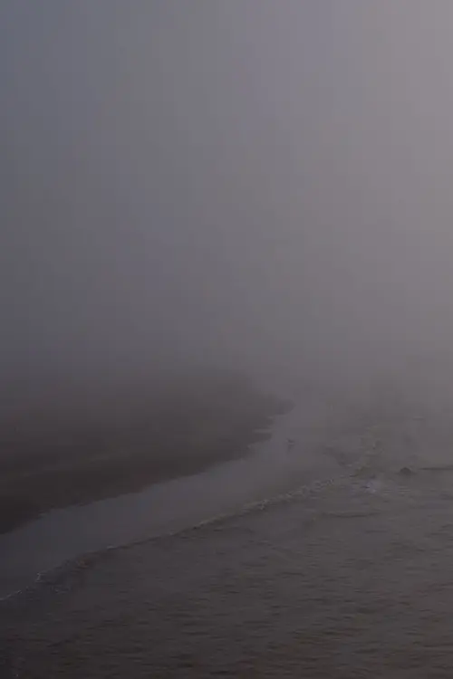 Niebla